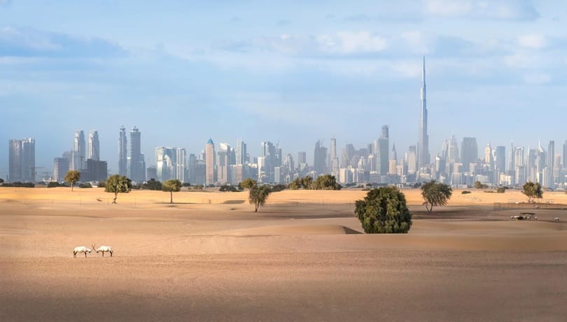 15 % نمو قيمة مبيعات الأراضي في دبي خلال 2024