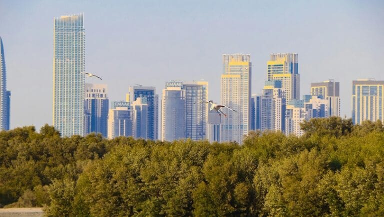 تسليم ما بين 40 إلى 50 ألف وحد ة عقارية جديدة في دبي خلال 2026