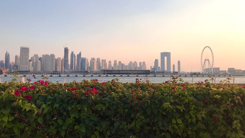 2.27 مليار دولار مبيعات العقارات السكنية الجاهزة في دبي خلال أغسطس 2026 2.27 مليار دولار مبيعات العقارات السكنية الجاهزة في دبي خلال أغسطس 2026